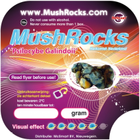 Buy Magic Truffles Galindoi Mushrocks