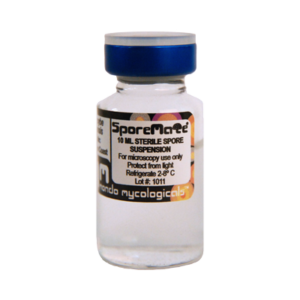 Buy B+ cubensis spore vial.